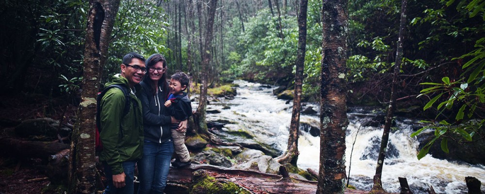 Nantahala Forest, North Carolina, Cabins, Woods, Camping, Hiking