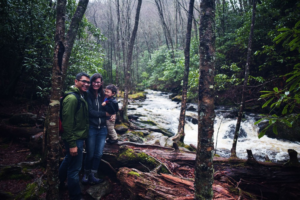 Nantahala Forest, North Carolina, Cabins, Woods, Camping, Hiking